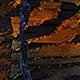 https://img.ltwebstatic.com/v4/j/pi/2025/07/02/f7/175142229081631f9f3c9fd90185e1b069c2ee9652.jpg