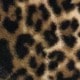 https://img.ltwebstatic.com/images3_pi/2024/10/08/04/17283522889d56199ddf29831ffdb754ce731421cd.jpg