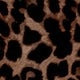 https://img.ltwebstatic.com/v4/j/pi/2025/04/16/74/17447846745af35933f5fe8e7f7a4cc56931ba9f4b.jpg