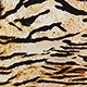 https://img.ltwebstatic.com/v4/j/pi/2025/06/26/fe/17509032068f9e3aa4cf010e95dc81477672f96611.jpg